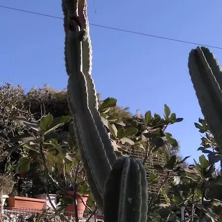 Franziska - 2 Apartman Náusza