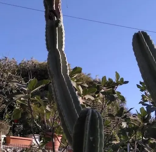 Franziska - 2 Apartment Naousa (Paros)